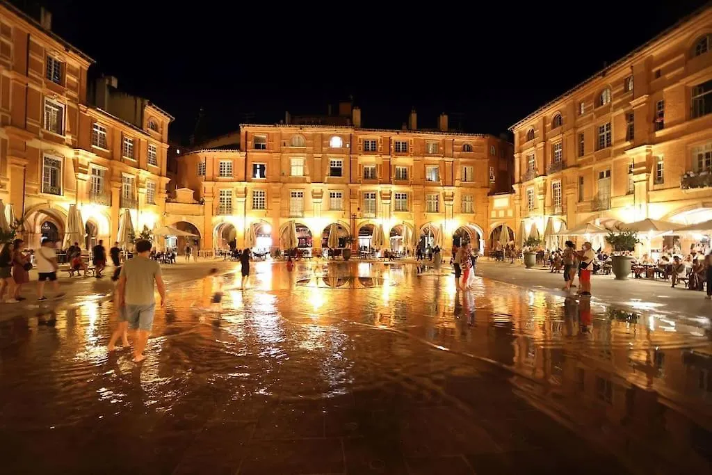 Appartement Chez Juliette, Proche Place Nationale Avec Parking Montauban France
